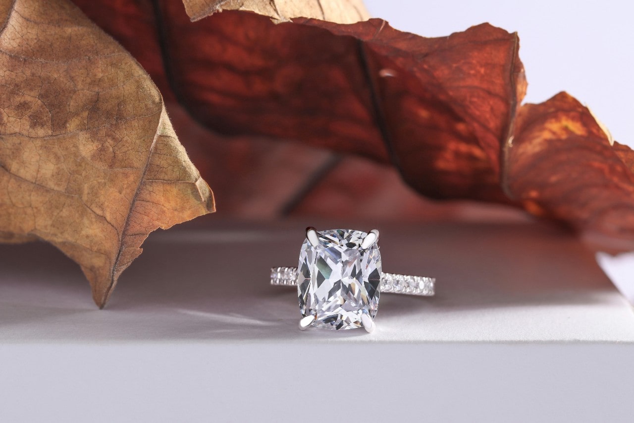 a white gold engagement ring sitting under brown leaves on a white surface