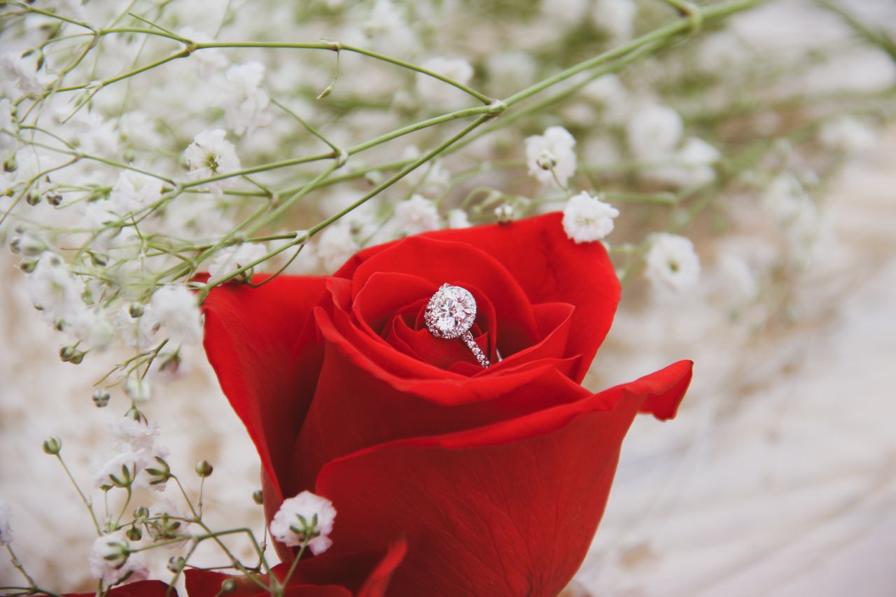 An elegant side stone engagement ring displayed in a beautiful red rose.